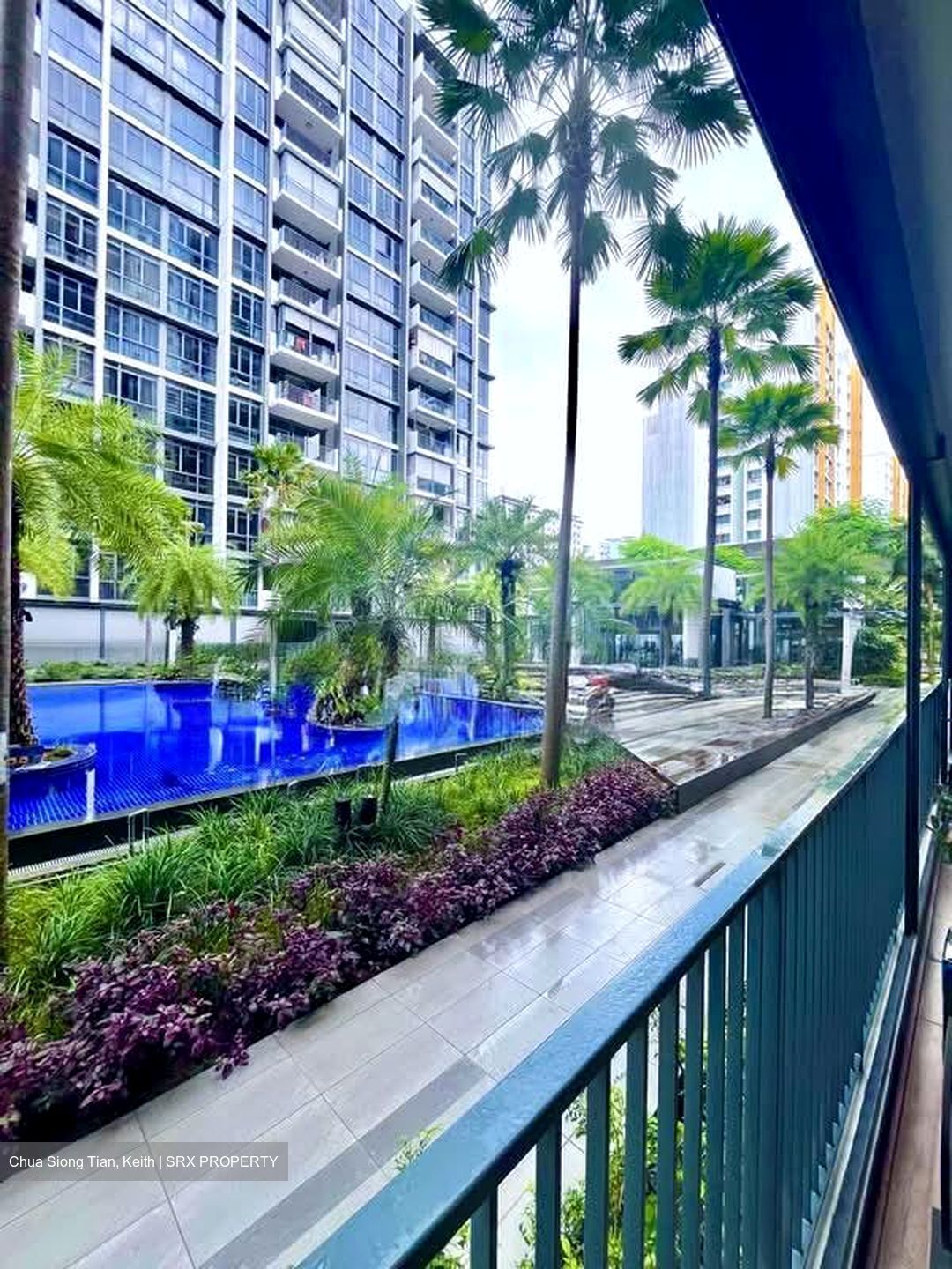 La Fiesta (D19), Condominium #566379821